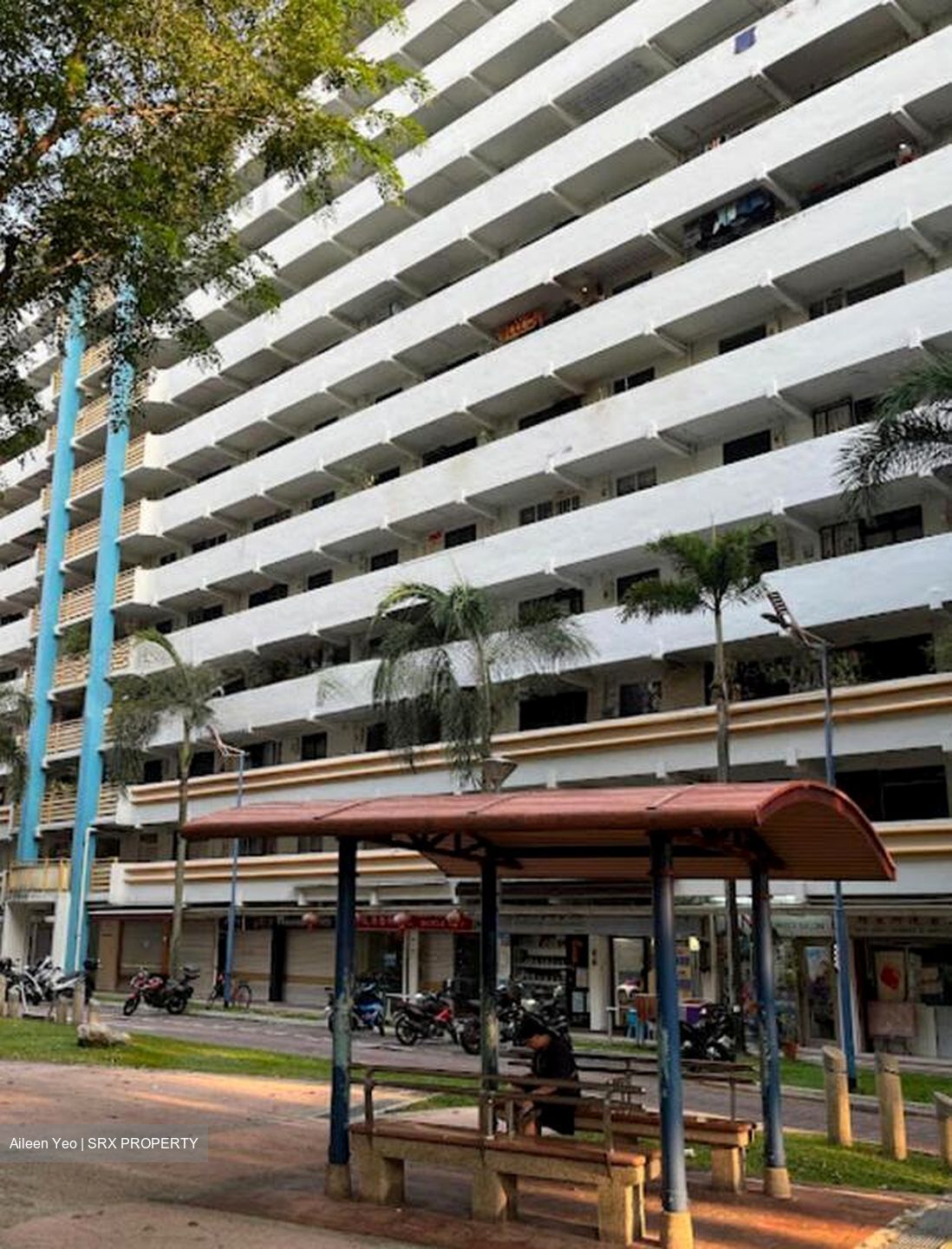 Tiong Bahru Orchid (D3), Shop House #506736961